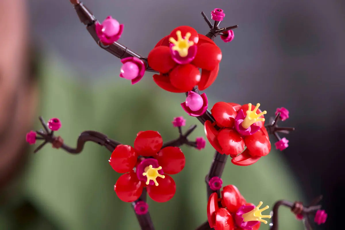 10369 Plum Blossom Flower