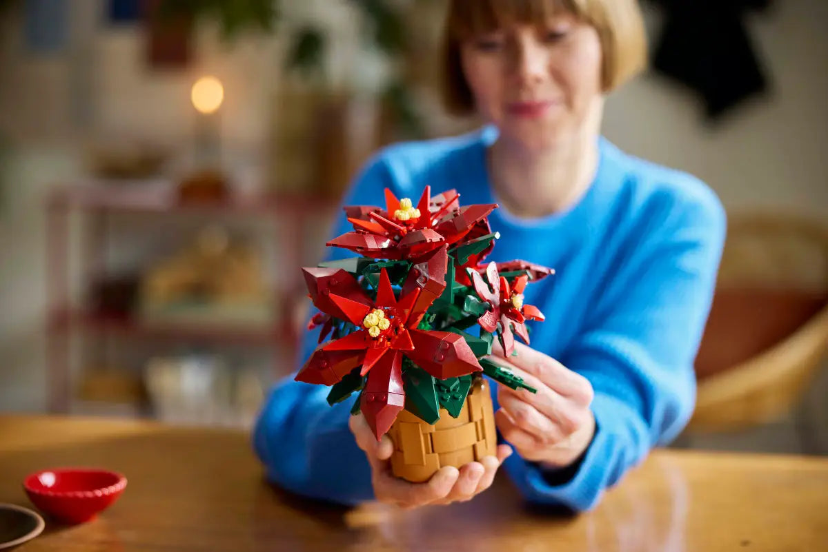 10370 Poinsettia Plant