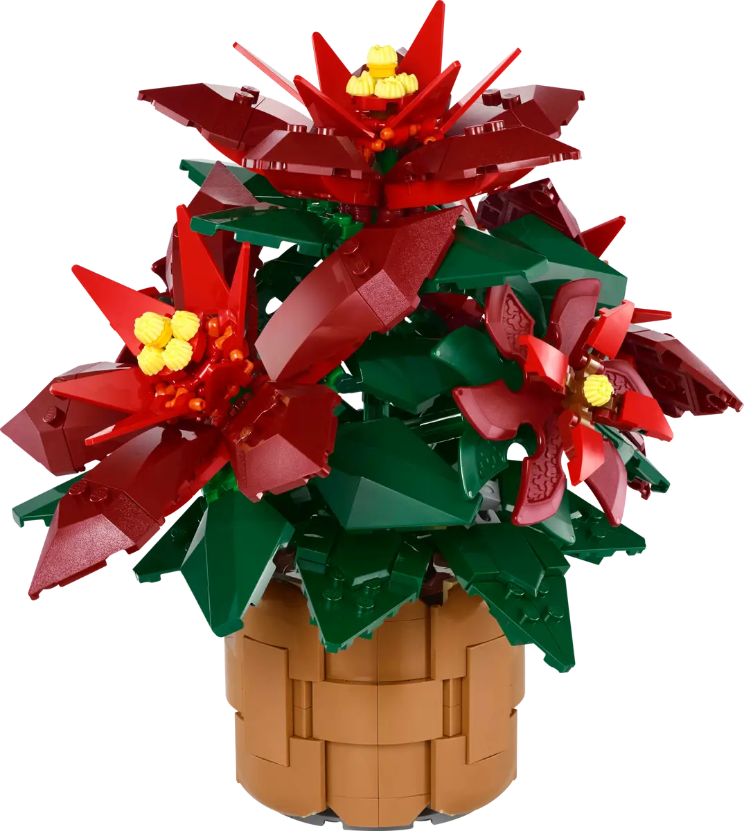 10370 Poinsettia Plant