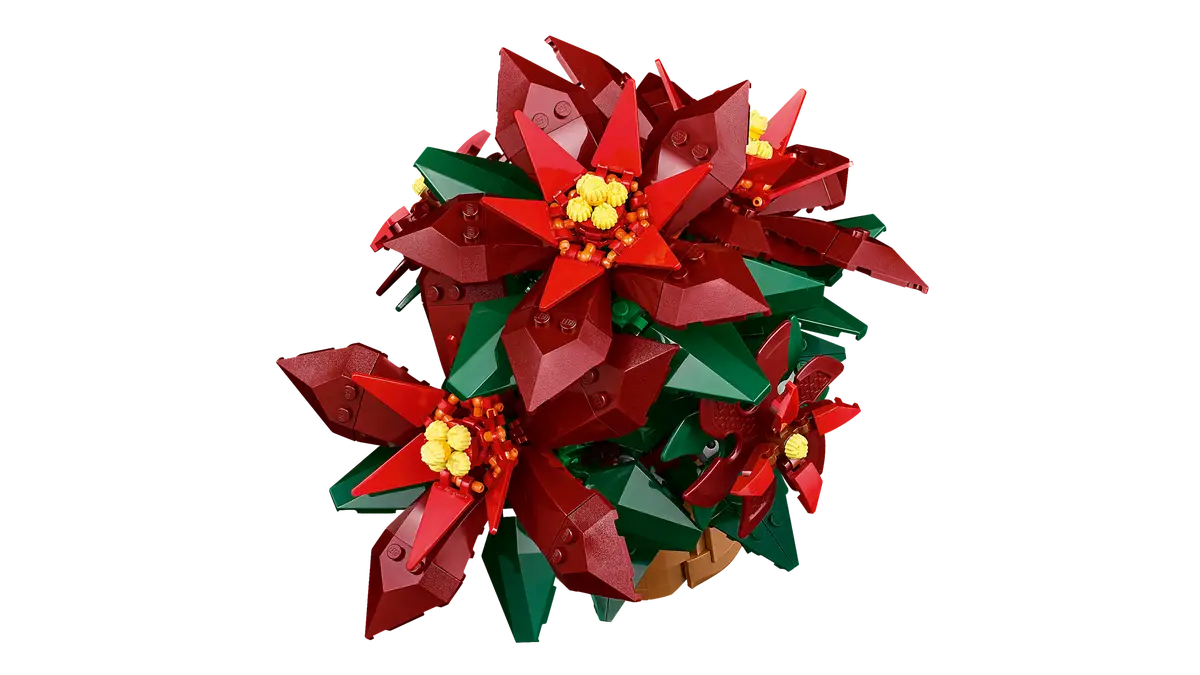 10370 Poinsettia Plant