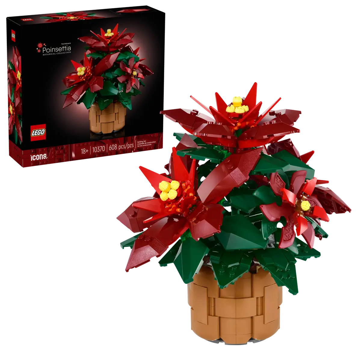 10370 Poinsettia Plant