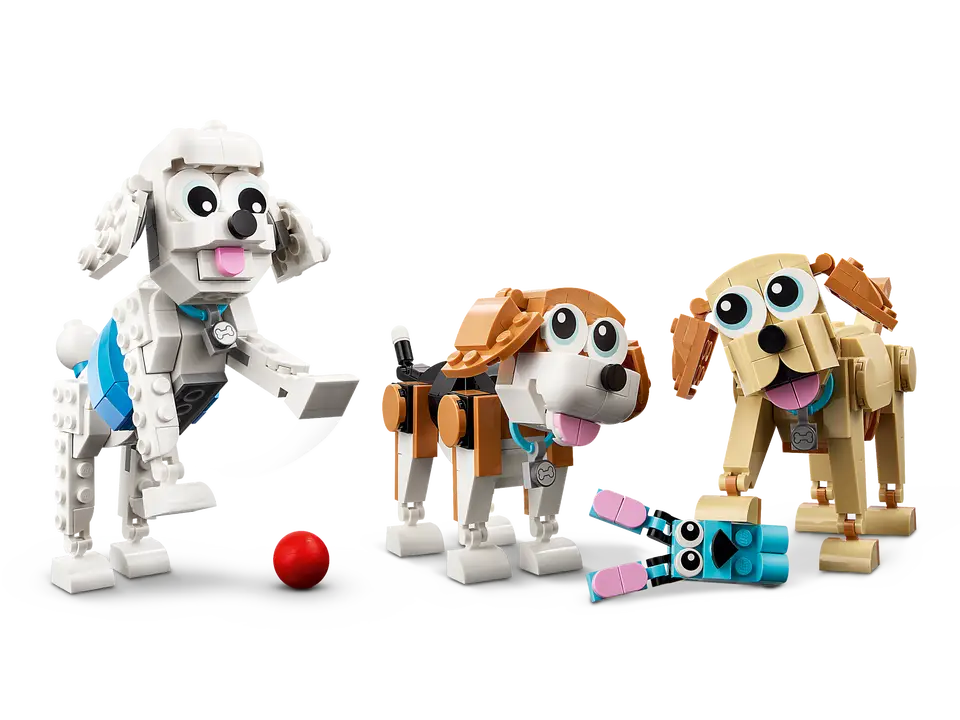 31137 Adorable Dogs
