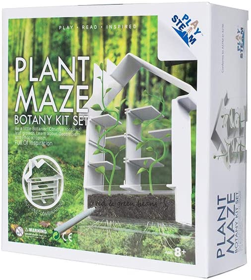Plant Maze Botany Set - PYSXP00201