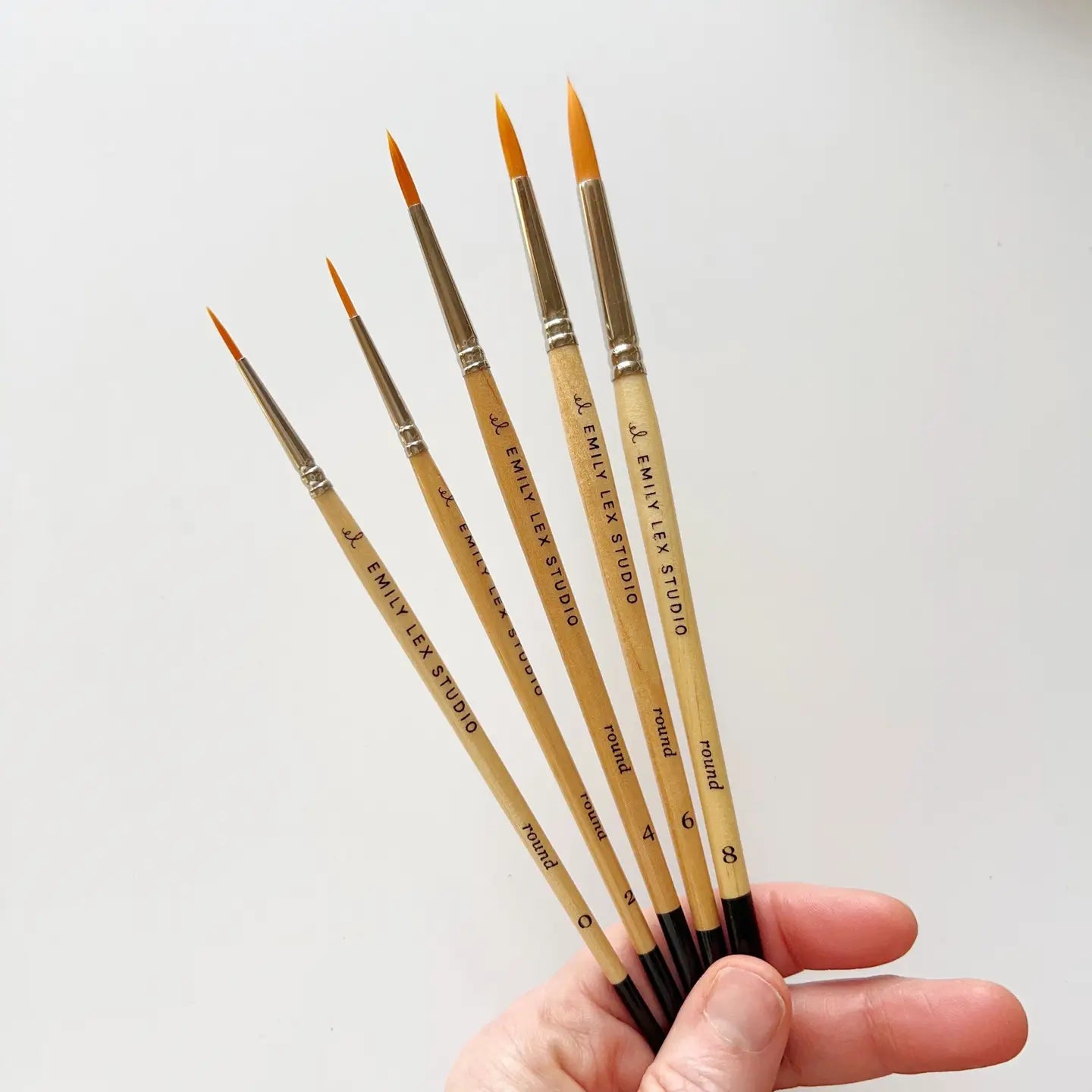 PB-SET-FIVE Watercolor Paintbrush Set