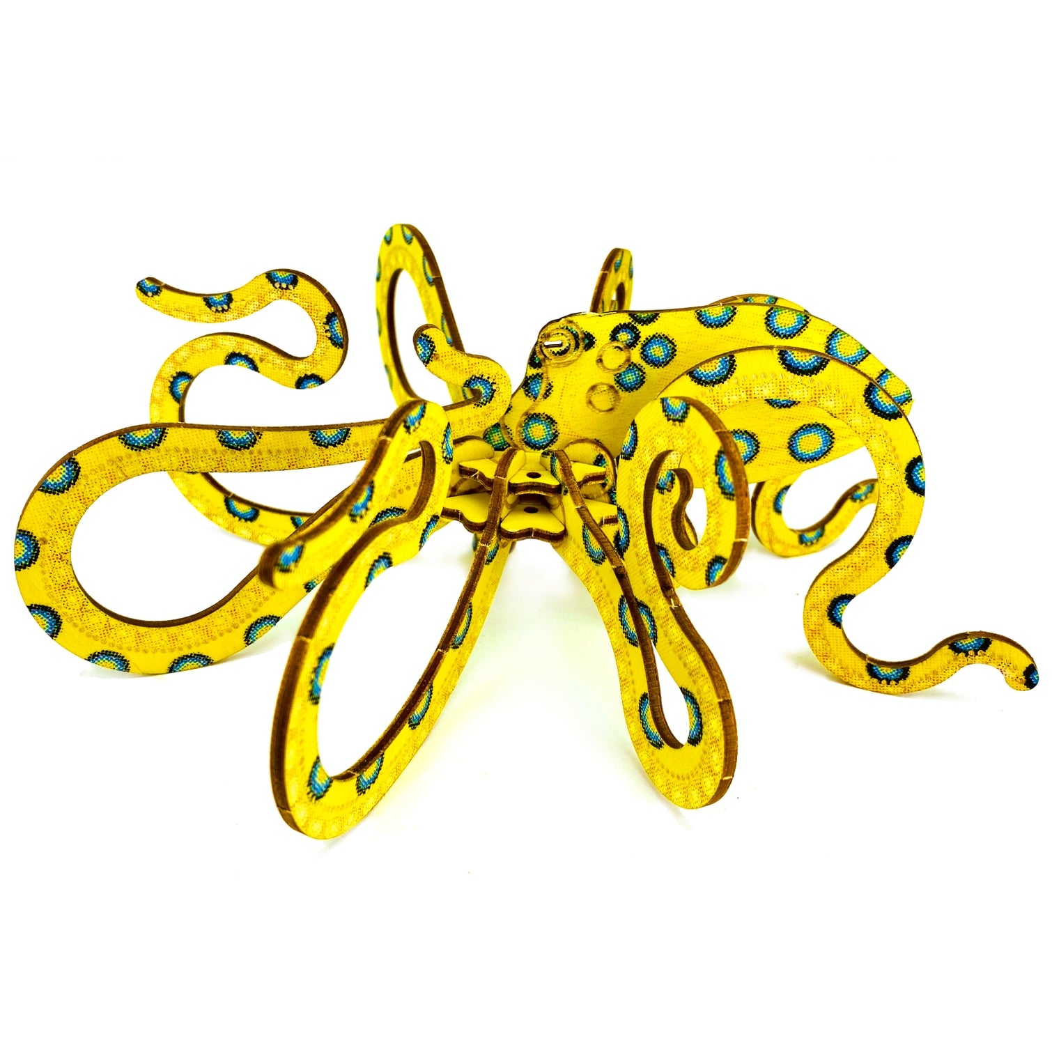 Mollusca : Octopus Blue-Ringed