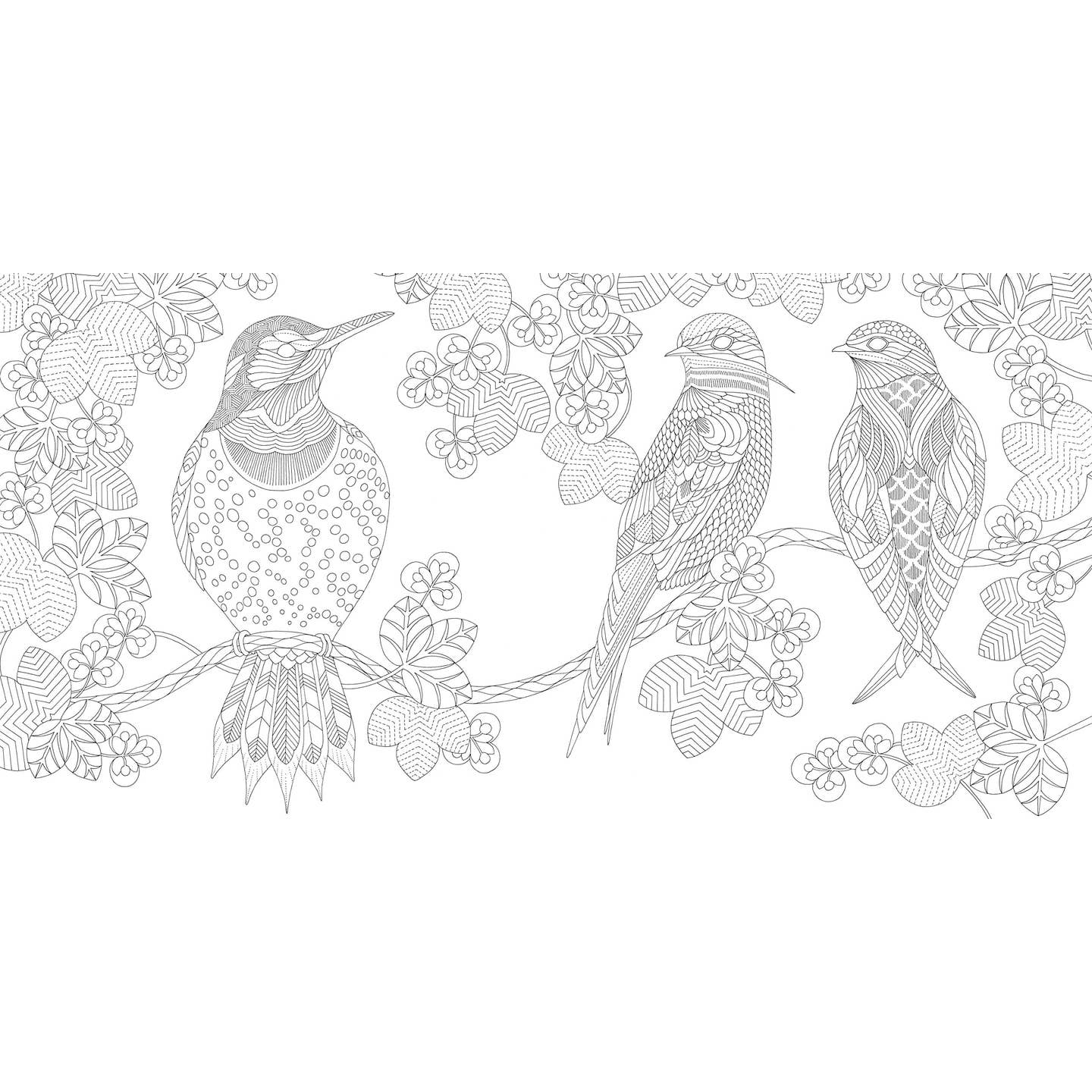 Millie Marotta Beautiful Birds and Treetops Coloring Book