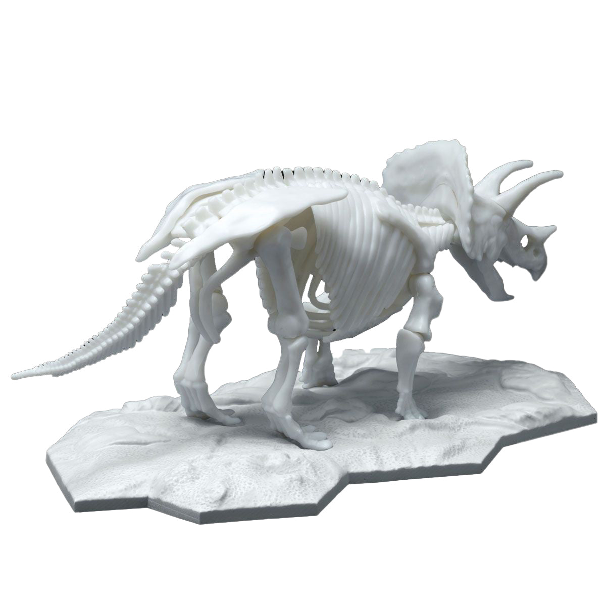 Triceratops , Bandai Spirits - BAN2569527