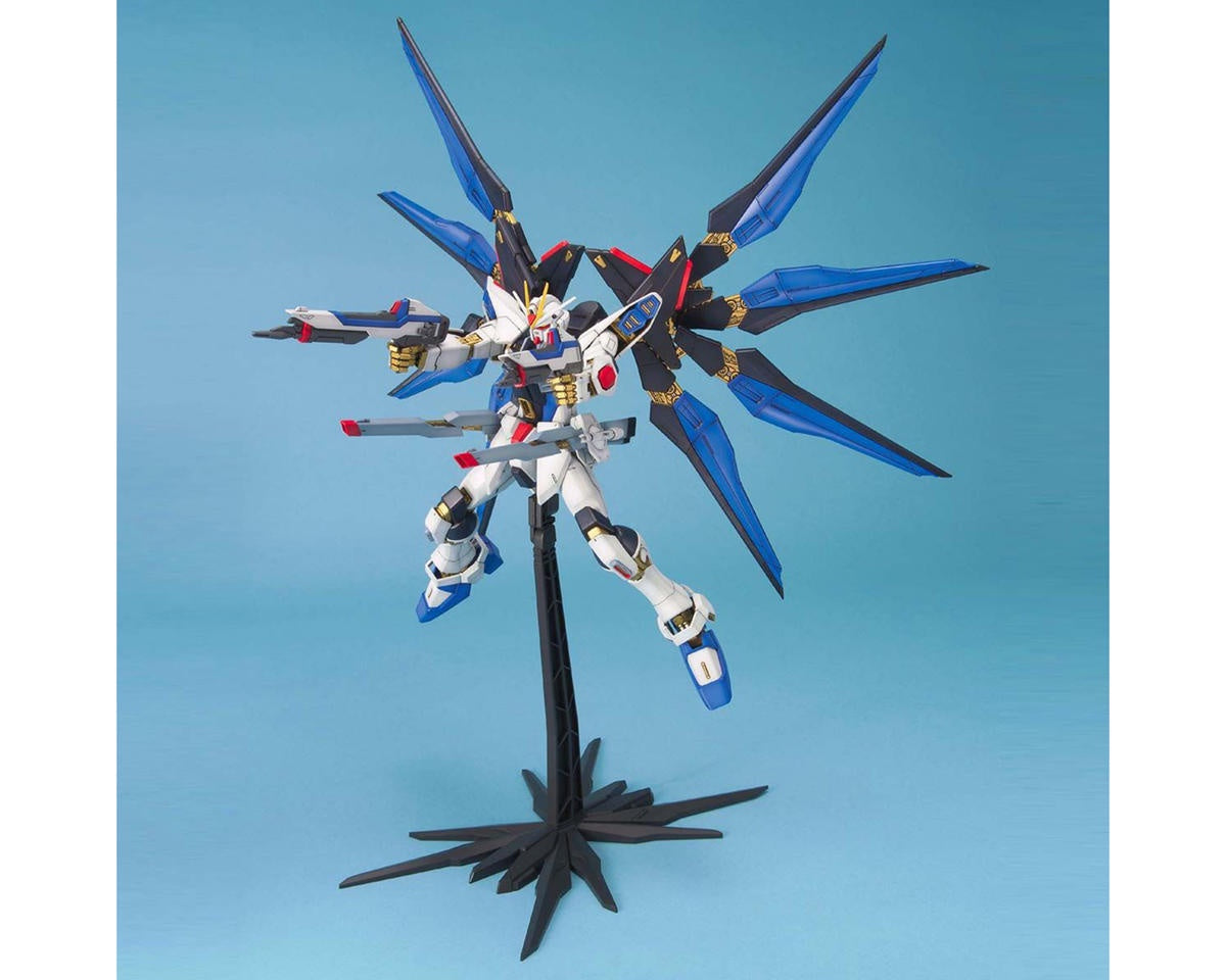 BAS2000728	1/100 MG GUNDAM"SEED"DEST