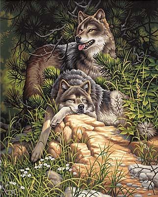 Wild & Free Wolves Paint by Number (16"x20") - DMS-91416
