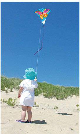 30 in. Diamond Kite - Briliant Butterfly