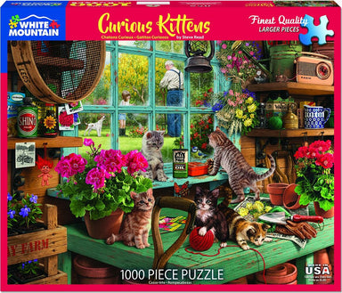Curious Kittens - 1000 Piece - White Mountain Puzzles